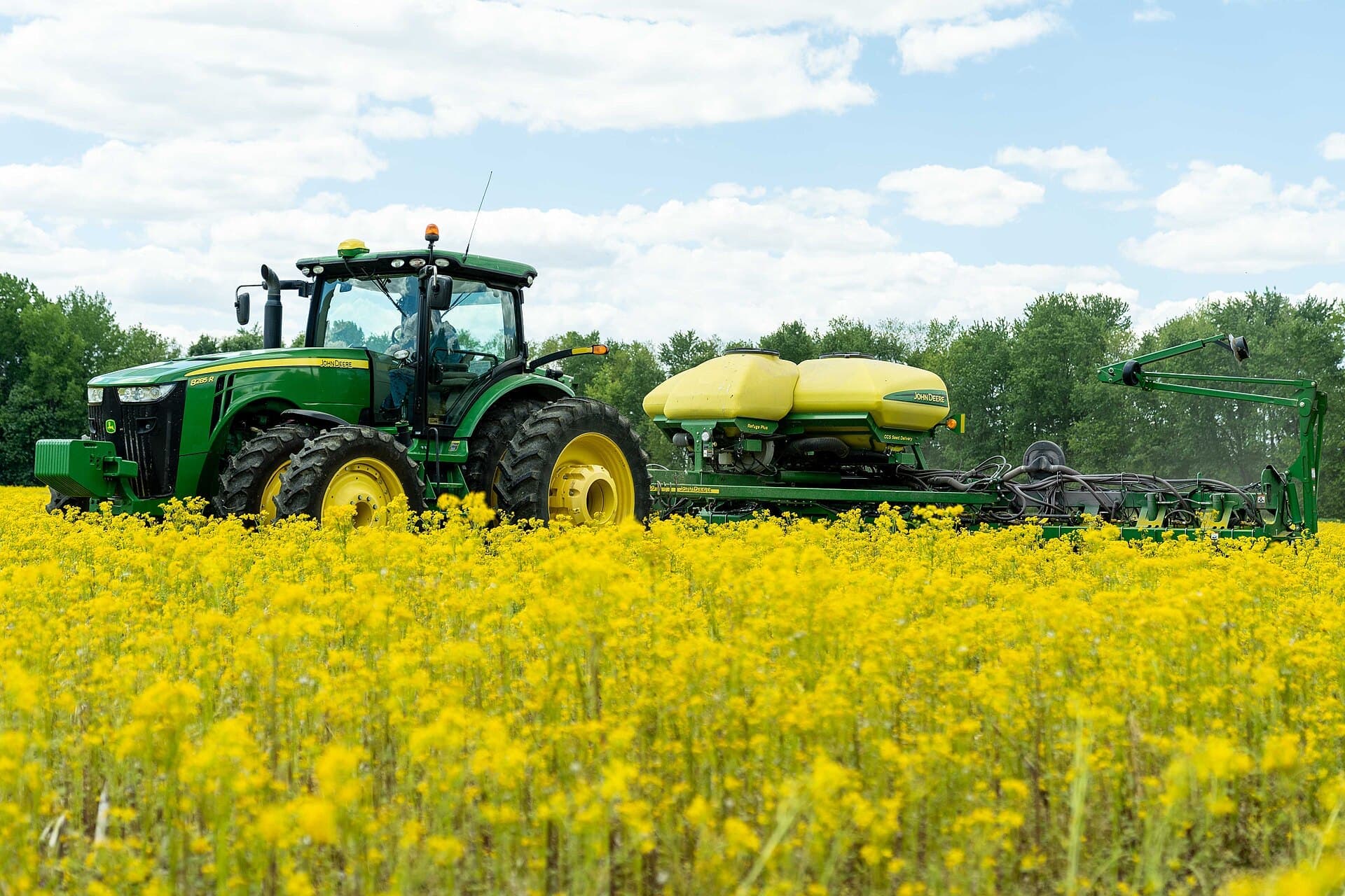 A tractor and planter working a field of yellow mustard in Indiana
