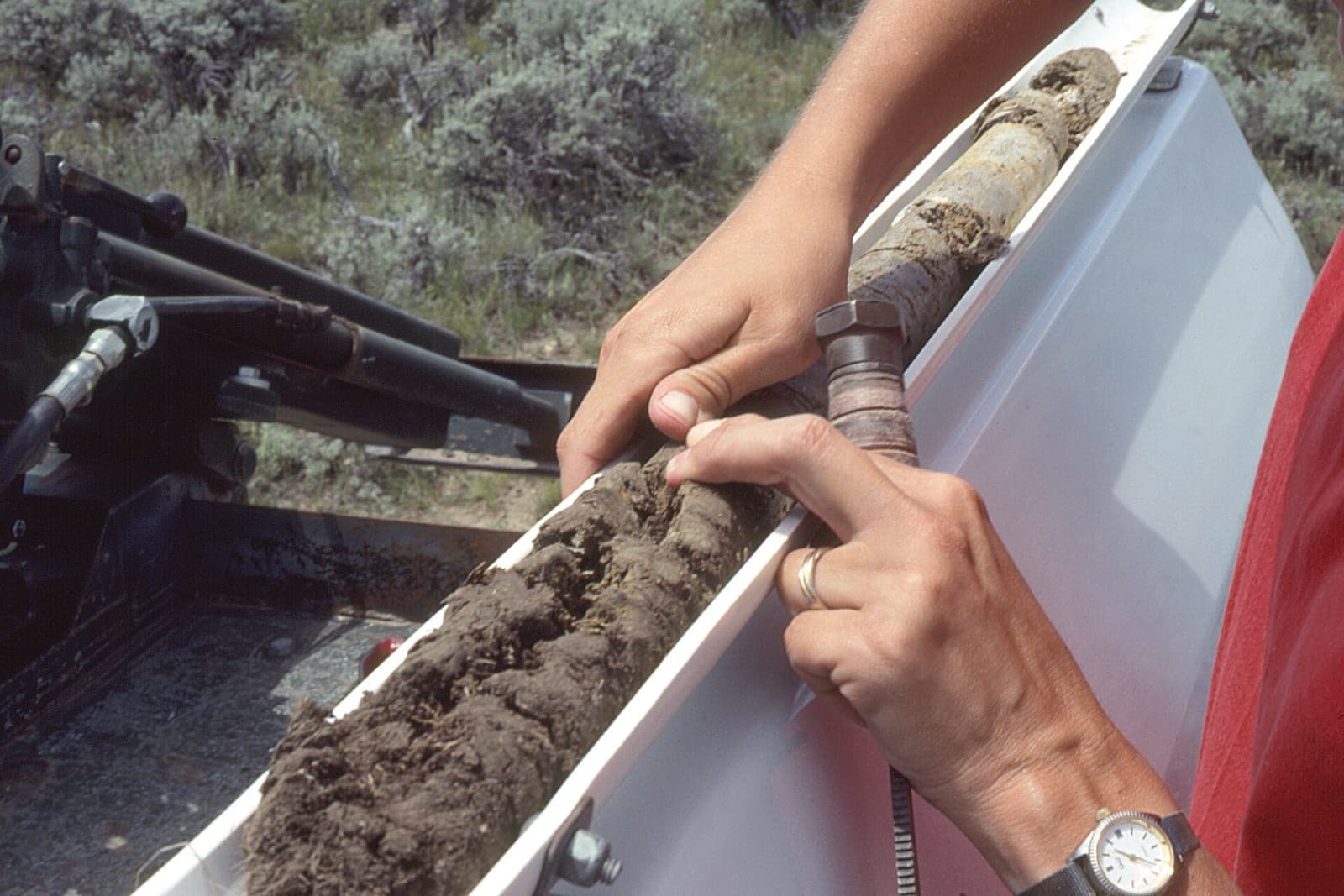 A soil core in a sampling probe tray, showing the soil layers